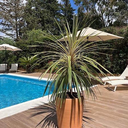 Arriba Stijlvol Appartement Met Zwembad En Tuin Conil De La Frontera Exteriör bild