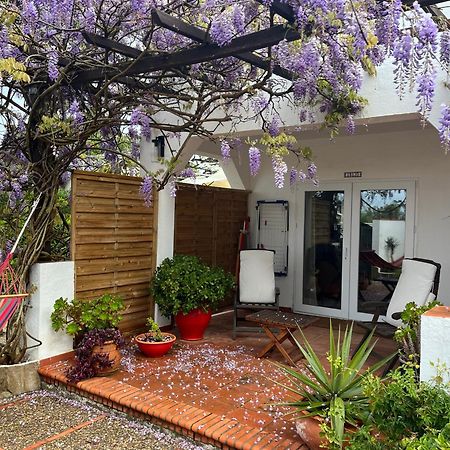 Arriba Stijlvol Appartement Met Zwembad En Tuin Conil De La Frontera Exteriör bild
