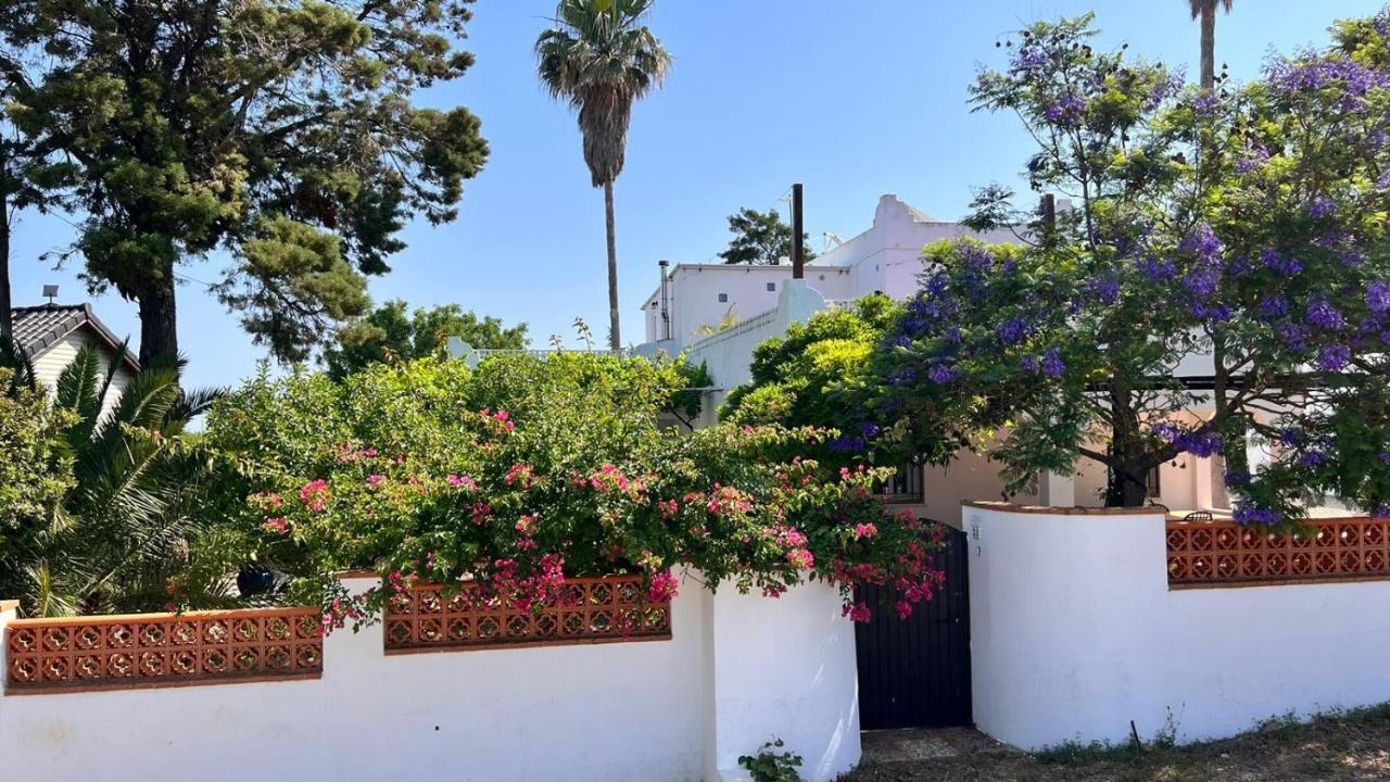 Arriba Stijlvol Appartement Met Zwembad En Tuin Conil De La Frontera Exteriör bild