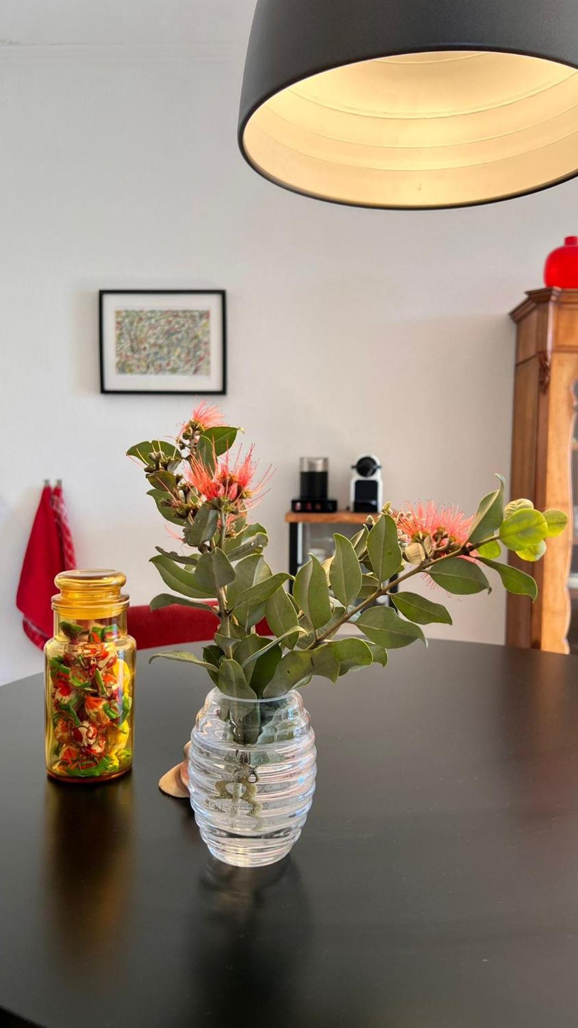 Arriba Stijlvol Appartement Met Zwembad En Tuin Conil De La Frontera Exteriör bild