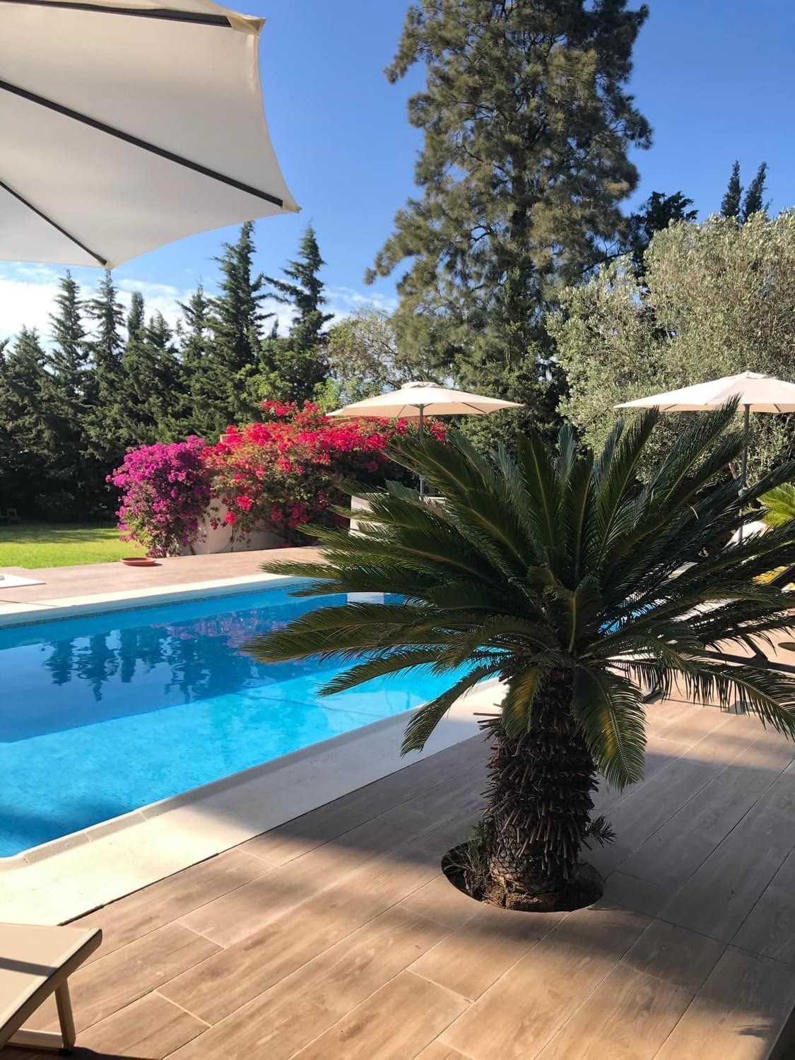 Arriba Stijlvol Appartement Met Zwembad En Tuin Conil De La Frontera Exteriör bild