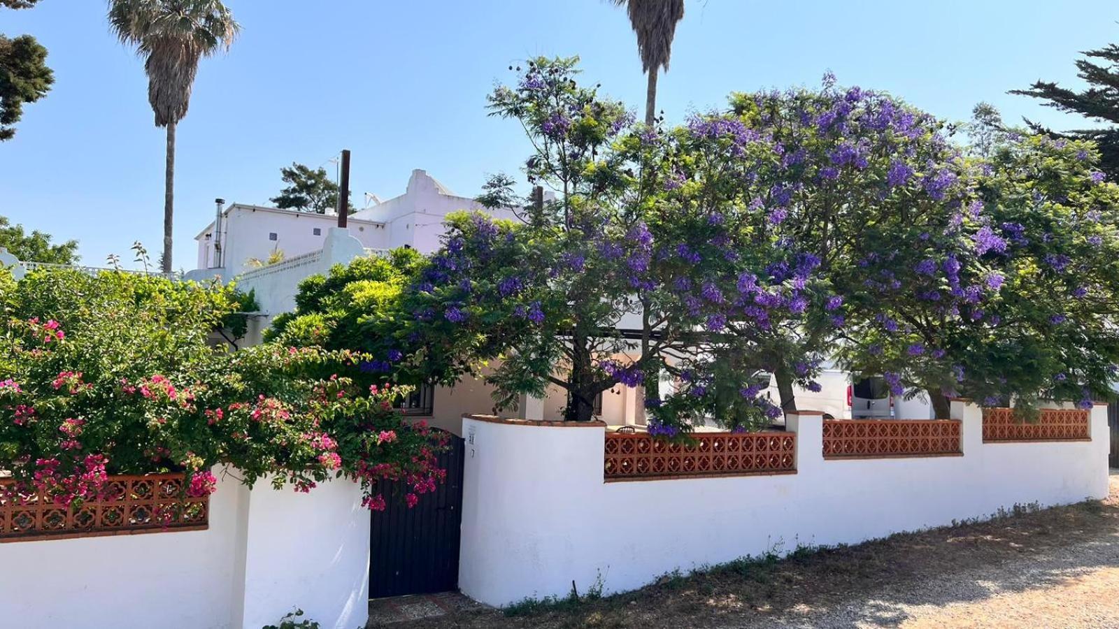 Arriba Stijlvol Appartement Met Zwembad En Tuin Conil De La Frontera Exteriör bild