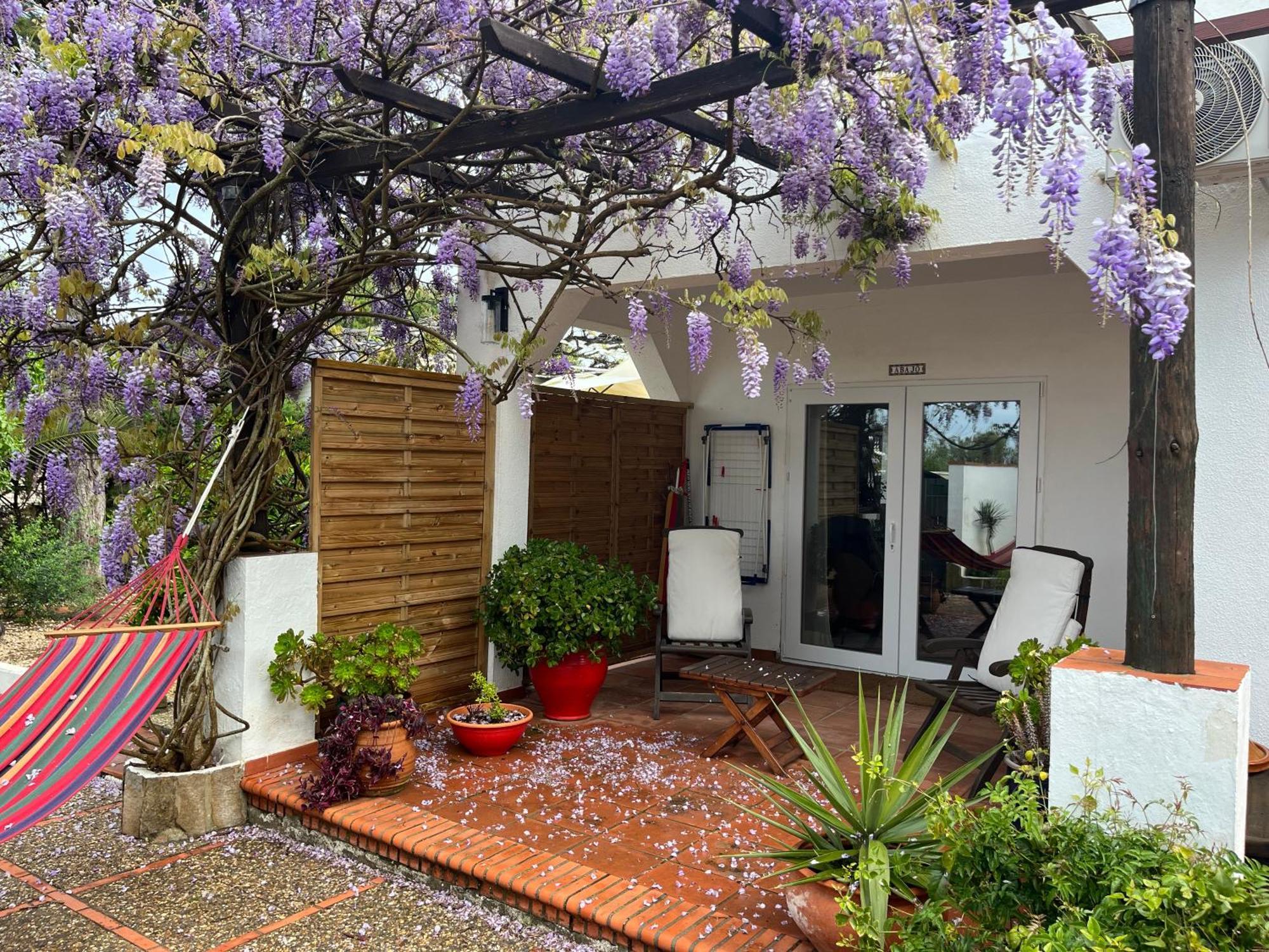 Arriba Stijlvol Appartement Met Zwembad En Tuin Conil De La Frontera Exteriör bild